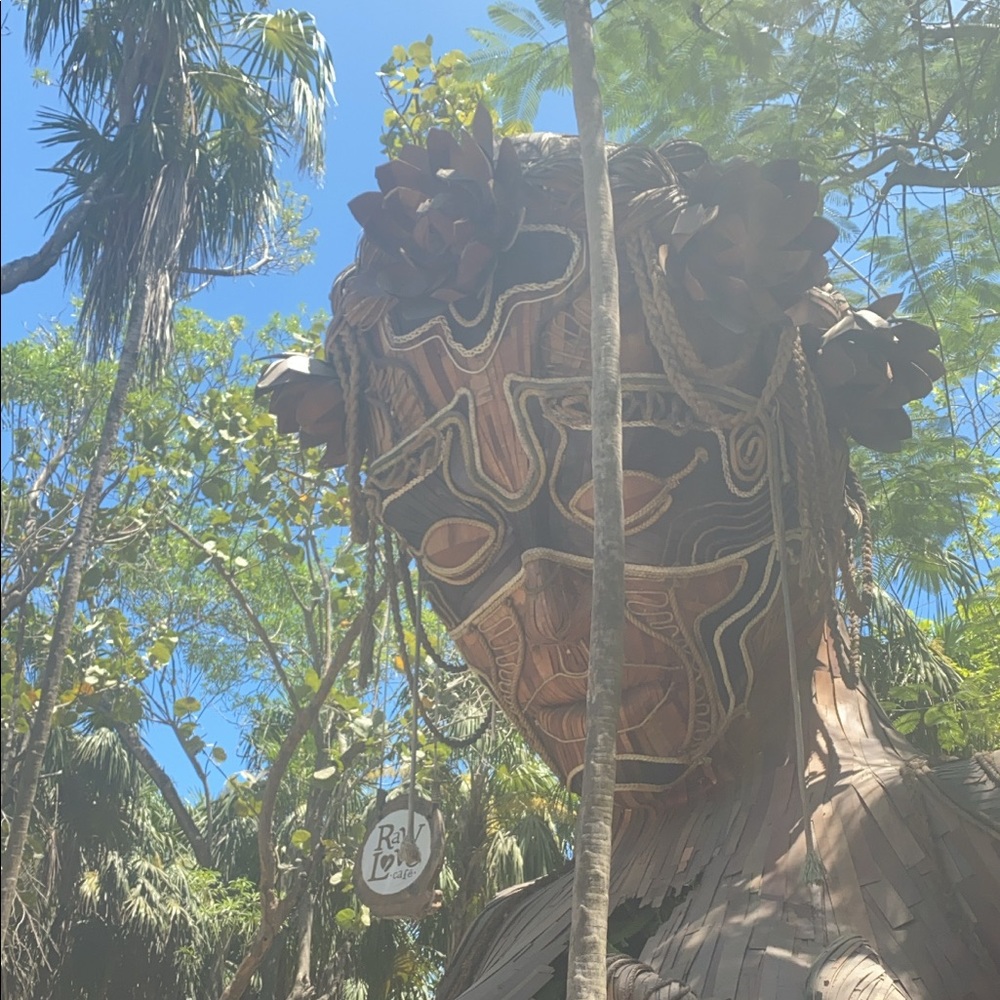 Meet your Posher, Priyanka